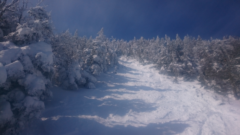 This is REALLY open for backcountry. But it had endless steep powder on it so I’m happy!